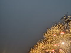 -大雁塔北广场音乐喷泉