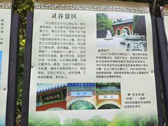 -灵谷景区