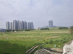 -光明小镇欢乐田园