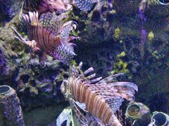 -太平洋海底世界