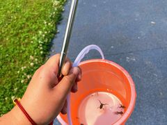 -两河城市森林公园