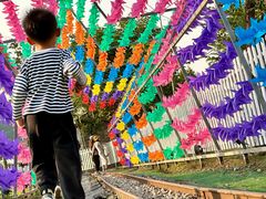-长洲岛都市农业公园