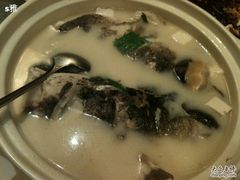 鱼头汤-骏莱海鲜鱼港(五角场店)