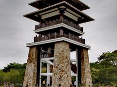 -大湾区中央湿地公园