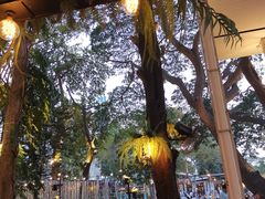 -网红落日悬崖餐厅 The Sky Gallery