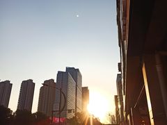-茶百道(世纪大道店)