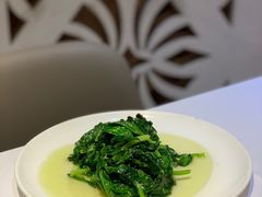酒香豆苗-老吉士(环贸iapm店)