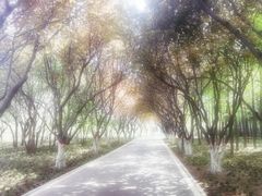 -石家庄市植物园