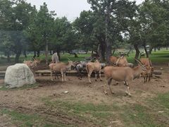-西安秦岭野生动物园