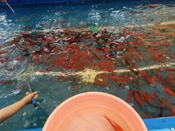 -萌宠亲子动物乐园(槐房万达店)