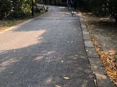 -九龙潭景区