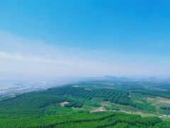 -帽儿山国家森林公园