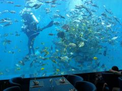 -瑞德姆美人鱼海底演艺主题餐厅(亚龙湾店)