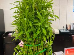 -皇朝尊会(龙之梦大酒店)