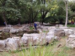 -莲花池公园