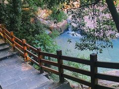 -广州白江湖森林公园