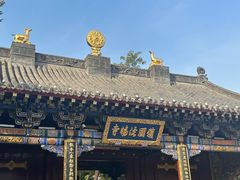 -护国法轮寺
