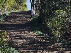 -杭州半山国家森林公园