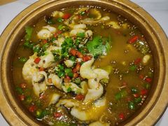 -鸡毛店·川菜(文殊院店)