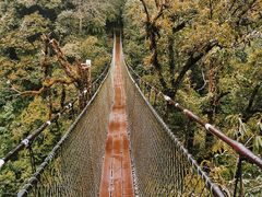 -云南屏边大围山国家公园