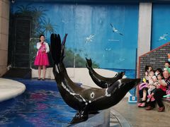 -成都浩海立方海洋公园