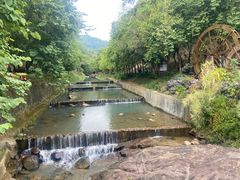 -广州白江湖森林公园