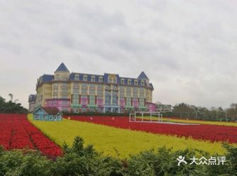 攻略 | 广州百万葵园拍照打卡攻略