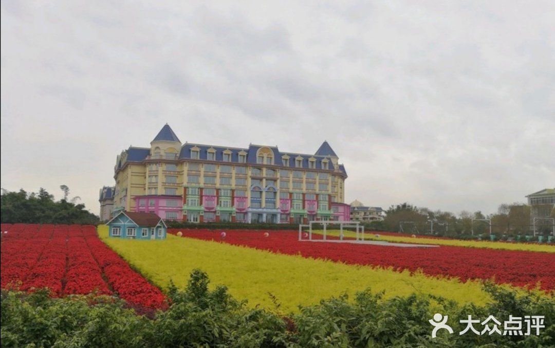 攻略 | 广州百万葵园拍照打卡攻略