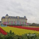 攻略 | 广州百万葵园拍照打卡攻略