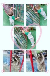 -萌宠亲子动物乐园(槐房万达店)