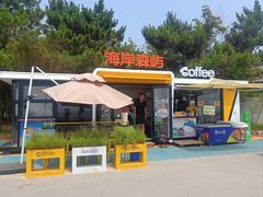 -日照海滨国家森林公园