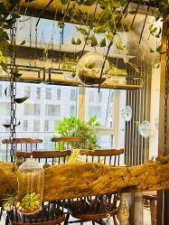 -青青一生美皮肤管理