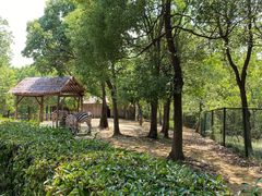 -合肥野生动物园