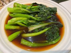 菜心-南庄酒家·海鲜粤菜·25年老字号(环城南路店)