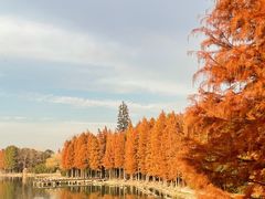 -长广溪湿地公园