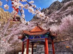 -辛安庄鸡鸣山景区