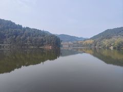 -黔灵山公园