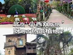 -呀路古热带植物园