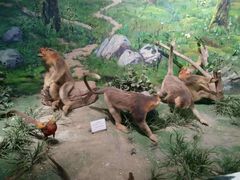 -陕西自然博物馆