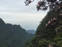 -峨眉山风景名胜区