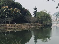 -团城山公园