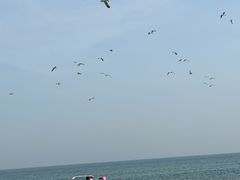 -威海国际海水浴场旅游区