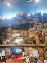 -卡通尼·Safari非洲探索乐园·生日会(金桥国际商业广场店)