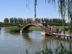 -白洋淀景区