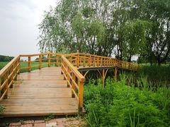 -白渔泡湿地公园