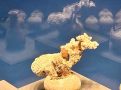 -中国（海南）南海博物馆