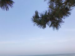 -日照灯塔风景区