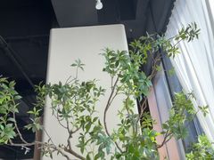 -Pekaa啤咖食肆Coffee&Bistro