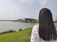 -荷兰花海