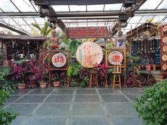 -呀路古热带植物园